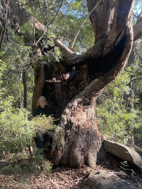 Helen standing in the trunk of an old tree